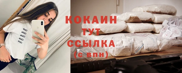 дмт Вяземский