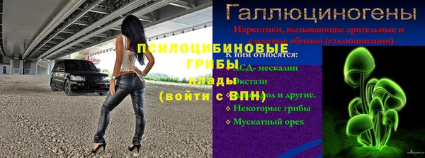 дмт Вяземский