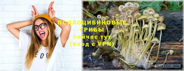 дмт Вяземский