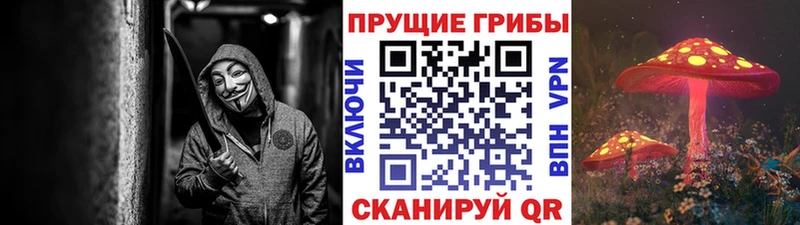 Галлюциногенные грибы ЛСД  Дербент 
